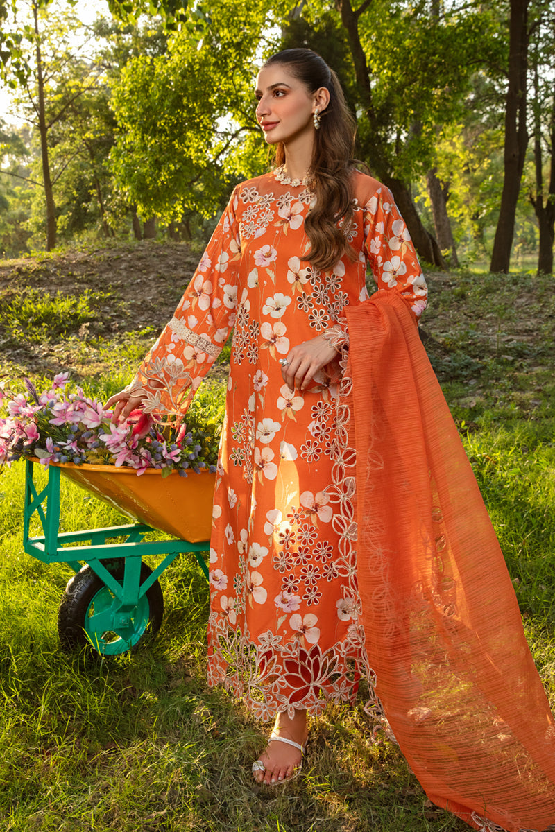 Rang Rasiya Coco Online Shopping