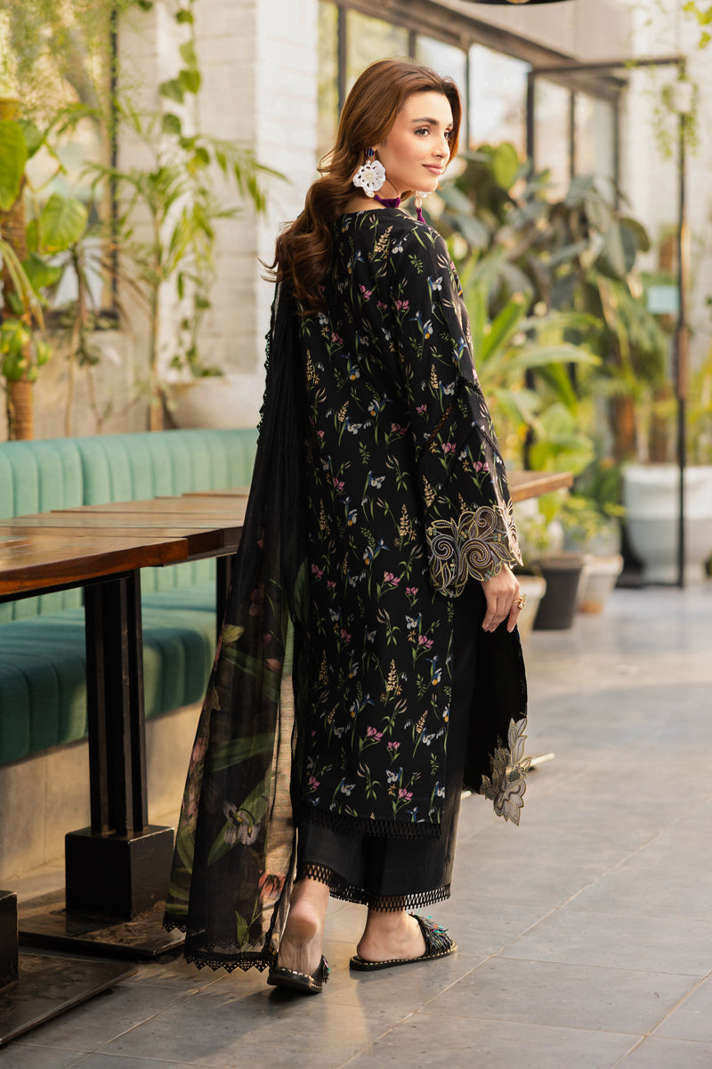 Rang Rasiya Midnight Online Shopping