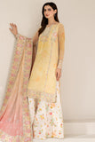 Farasha Floral Ray Online Shopping