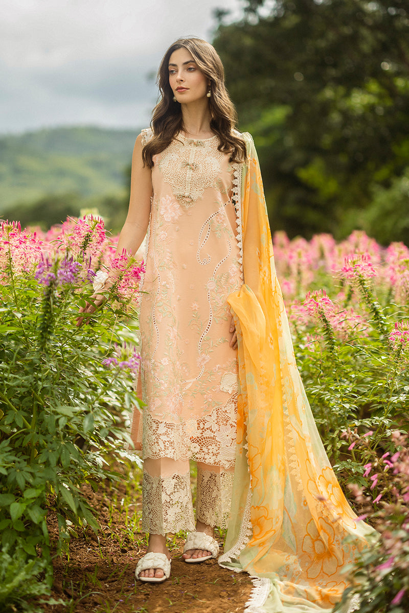 Mushq Moonlit Petals Online Shopping
