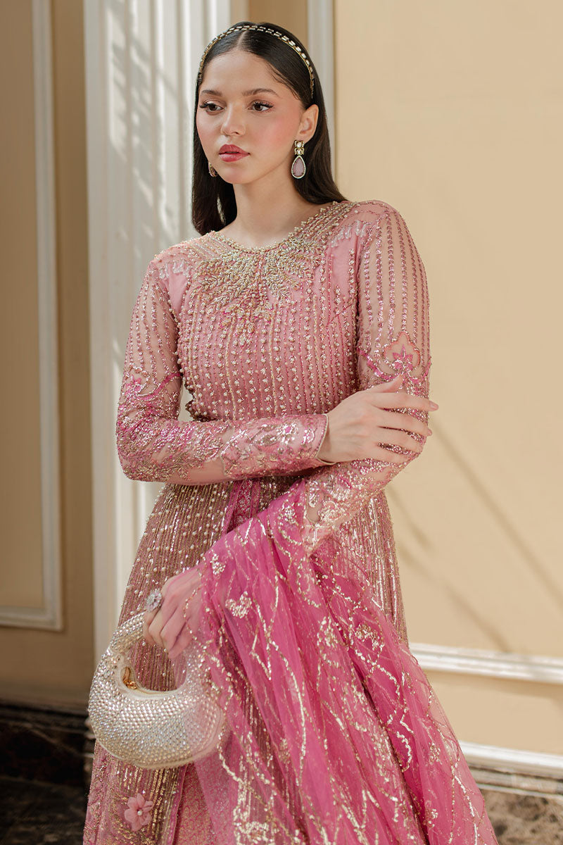 Mushq Bonafide Online Shopping