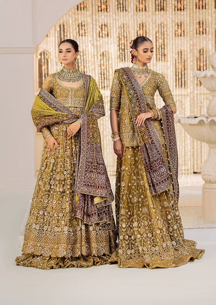 AIK Atelier Embroidered   Unstitched Saree AIK23TS Look-07 - Luxury Collection