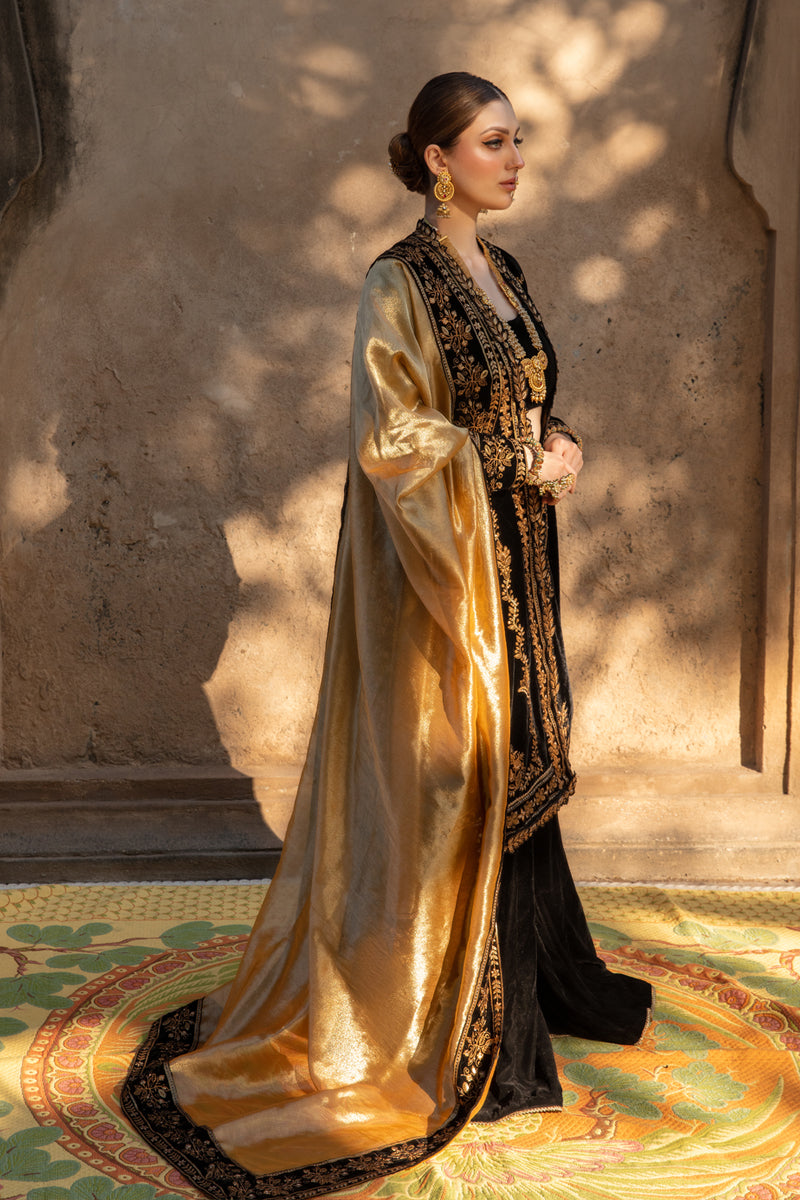 Rang Rasiya Heer Shehnaiya Wedding Collection Online Shopping