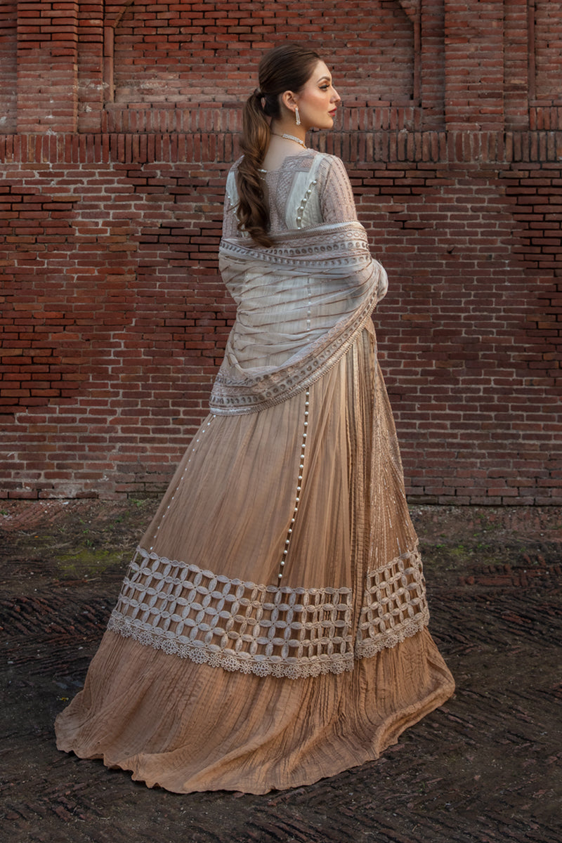 Rang Rasiya Roshni Shehnaiya Wedding Collection Online Shopping