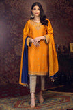 Zaaviay Samar Arzish Raw Silk Luxury Collection 2020 | Zaaviay Arzish Collection