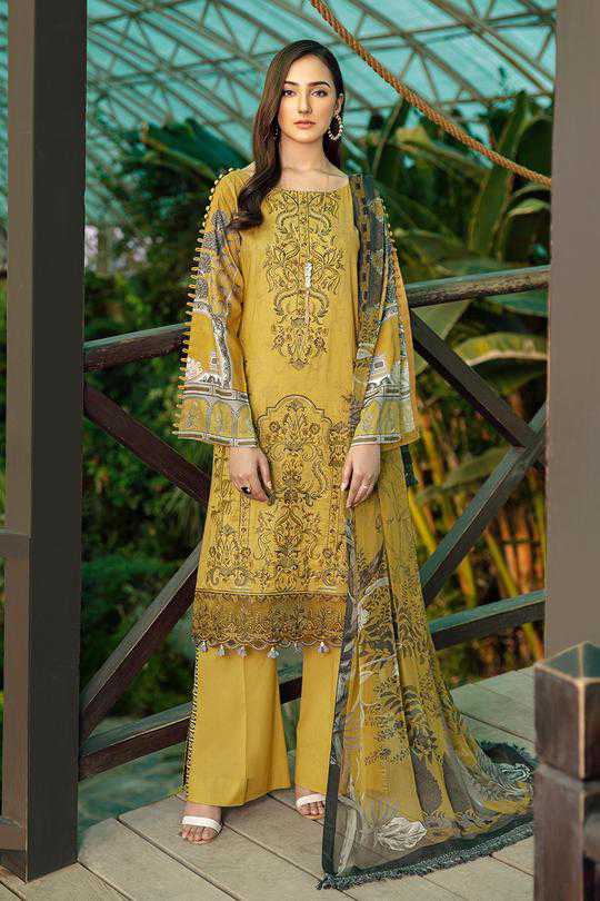 Ramsha C-506 Lawn Chevron Vol 5 2,021