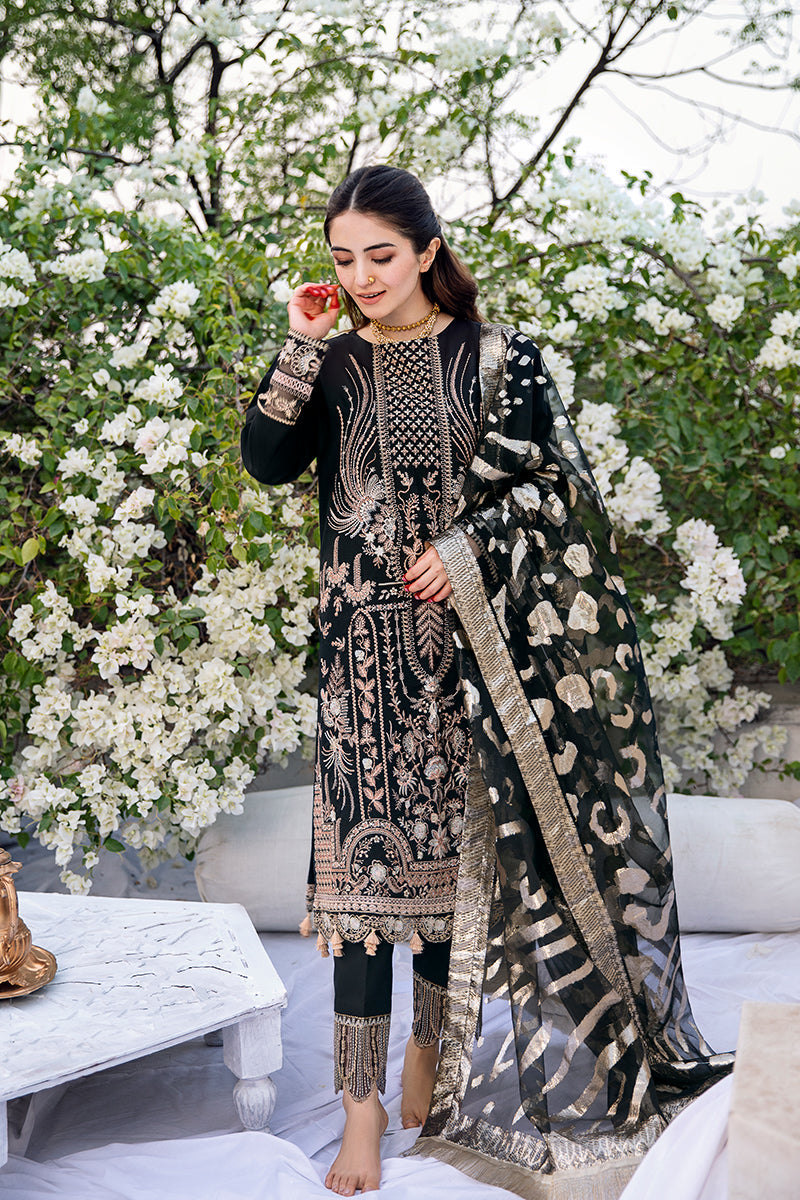 Rang Rasiya Black Oyester Bari Eid Edition 2022 Online Shopping