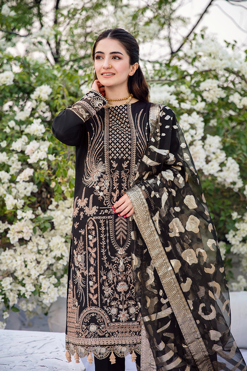 Rang Rasiya Black Oyester Bari Eid Edition 2022 Online Shopping