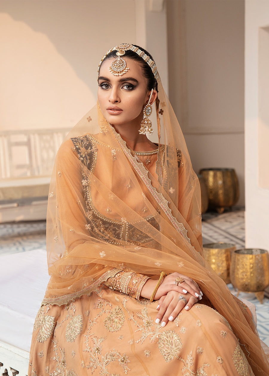 Akbar Aslam Evari Wedding Formals Collection 2022 Online Shopping