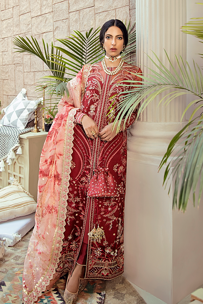 Amaryllis Suffuse Freesia 2022