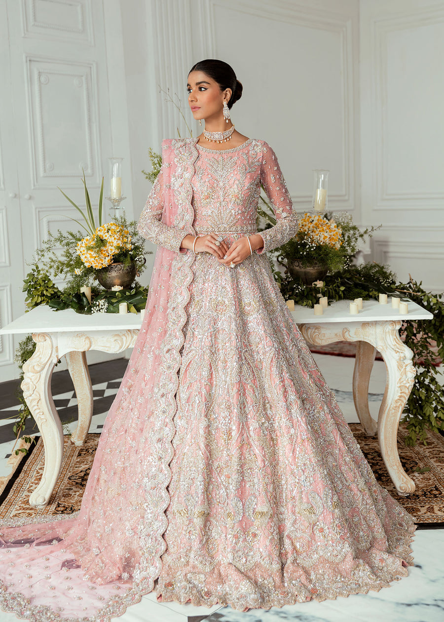 Akbar Aslam Flamingo Bridal Wears 2022 Online Shopping