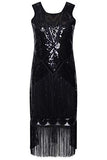 1920's Great Gatsby Costume Cocktail Party Sequin Tassel Flapper Dress