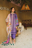 Charizma CPW-28 C-Print Shwal Suit 2021