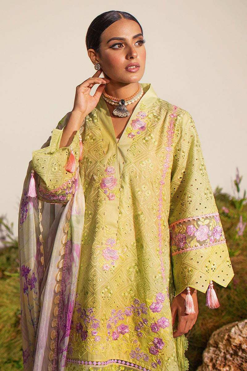 Ansab Jahangir  Saga Luxury Lawn 2022 Online Shopping