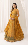 Asifa N Nabeel Chashni (ANB-03) Barasti Festive Edition Online Shopping