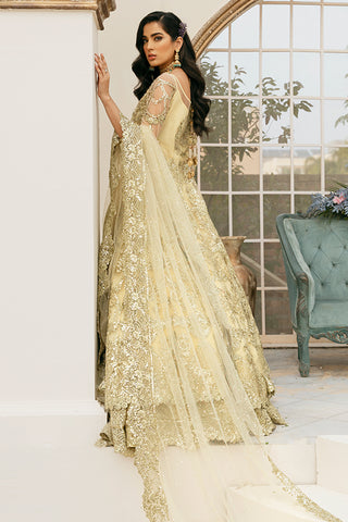 Imrozia IB-16 Amada Brides 2022 Online Shopping