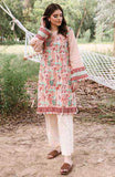 Orient Otl 20 174 B Peach Winter Collection 2020 - 2021
