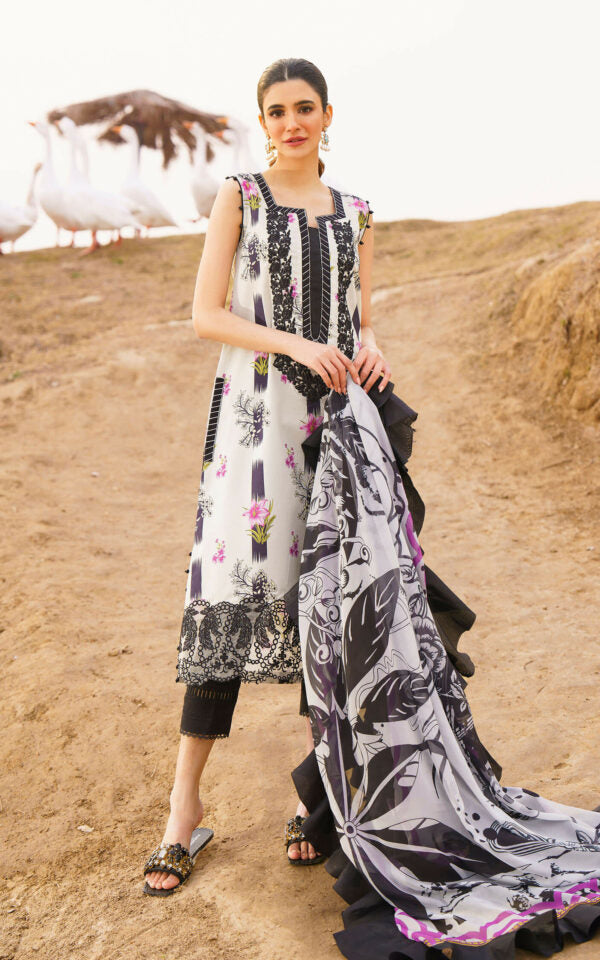 Asifa N Nabeel Echo Online Shopping