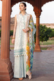 FF-NJ07-GULL Faixa Faixal Noor Jahan 2021
