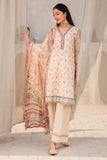 Motifz 4604-Zarin Online Shopping