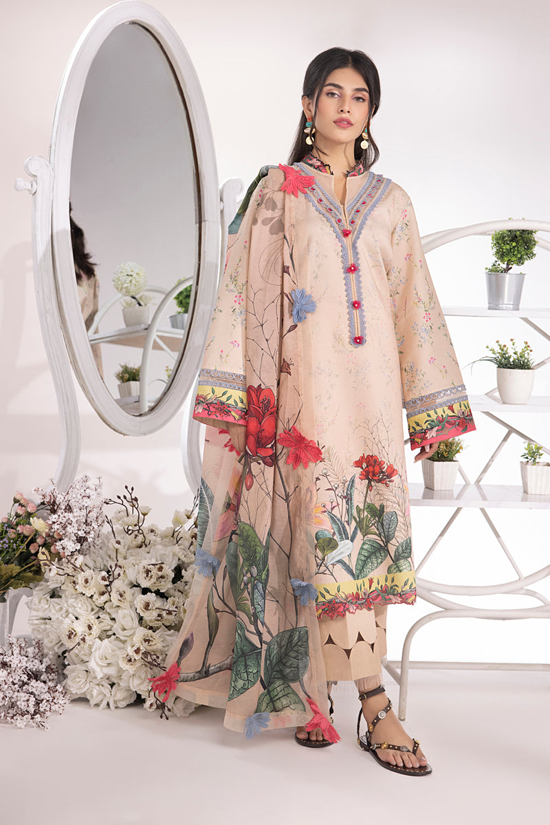 Rang Rasiya Blush Summer Breeze Lawn Collection Online Shopping