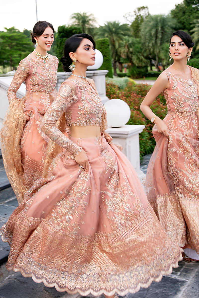 Mushq Nicole Serendipity Wedding Collection 2022 Online Shopping