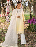 Sifa Amber Cocktail Lawn 2022 Online Shopping