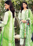 Gul Ahmed CL1027B Basic Lawn 2021