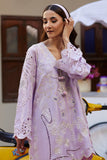 Ansab Jahangir Lucia Online Shopping