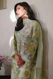 Ansab Jahangir Lyra Online Shopping