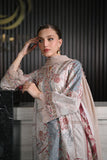 Ansab Jahangir\ Dorothy Online Shopping