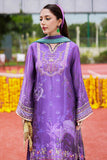 Ansab Jahangir Nehir Online Shopping