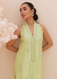 Farah Talib Aziz Pia Embroidered Raw Silk Shirt and Dupatta Online Shopping