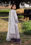 Asim Jofa AJELL-10 Online Shopping