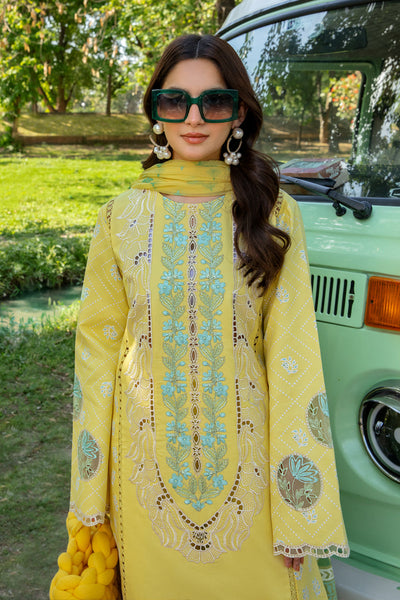 Rang Rasiya Ayla Online Shopping – Original Brand