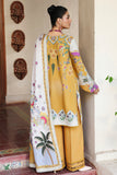 Qalamkar QW-07 (A) Celina Online Shopping
