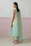QQP-07 (B) Della Qalamkar Brand Original Fabrics