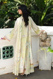 Qalamkar AX-06 (B) Vaila Online Shopping