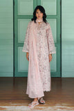 Qalamkar AX-02 (B) Kena Online Shopping