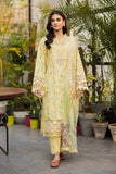 Rang Rasiya Olivine Online Shopping