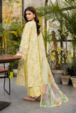 Rang Rasiya Olivine Online Shopping