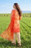 Al Zohaib CDC-26-10 Online Shopping