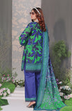 Alzohaib CC-3-25-10 Online Shopping