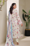 Alzohaib CDP-5-25-10 Online Shopping