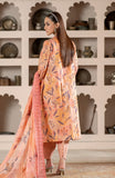 Alzohaib SBP-25-11 Online Shopping