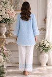 D11 - Pastel Blue Saadia Asad Brand Original Fabrics