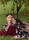 hussain rehar Shahnoor