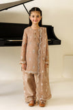 AFK-BCH-1007-Dise Alizeh Brand Original Fabrics