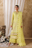Felene Akbar Aslam Brand Original Fabrics