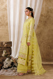 Felene Akbar Aslam Brand Original Fabrics